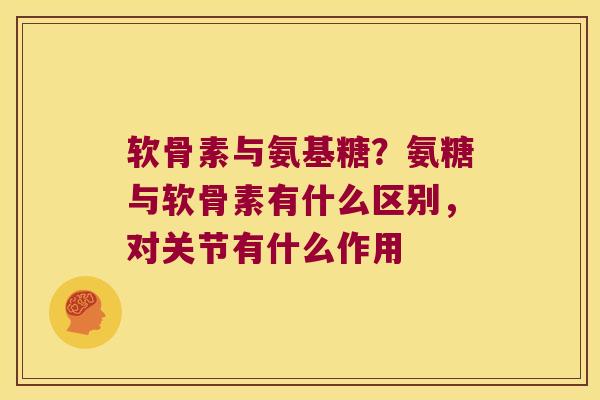 软骨素与氨基糖?氨糖与软骨素有什么区别,对关节有什么作用 软骨素与氨基糖?氨糖与软骨素有什么区别,对关节有什么作用