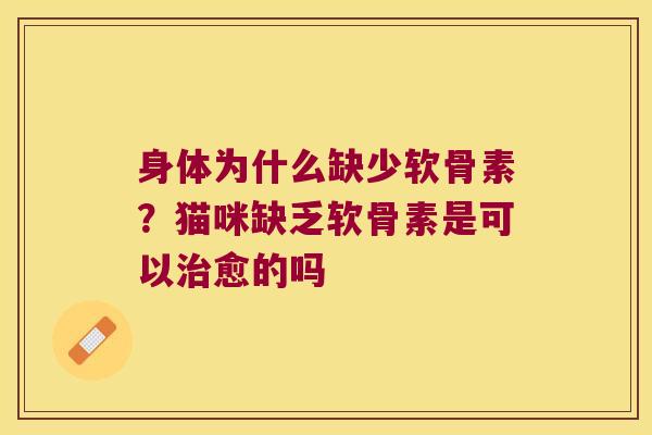 身体为什么缺少软骨素？猫咪缺乏软骨素是可以愈的吗