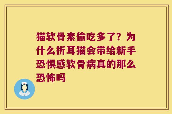 猫软骨素偷吃多了？为什么折耳猫会带给新手恐惧感软骨真的那么恐怖吗