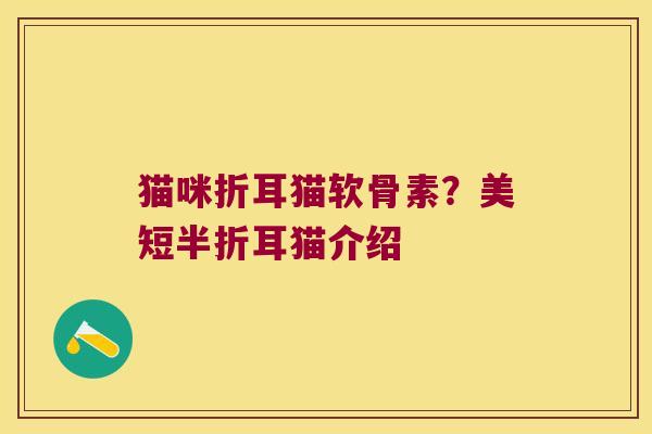 猫咪折耳猫软骨素?美短半折耳猫介绍 猫咪折耳猫软骨素?美短半折耳猫介绍