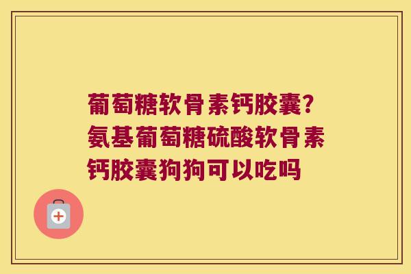 葡萄糖软骨素钙胶囊?氨基葡萄糖硫酸软骨素钙胶囊狗狗可以吃吗 葡萄糖软骨素钙胶囊?氨基葡萄糖硫酸软骨素钙胶囊狗狗可以吃吗