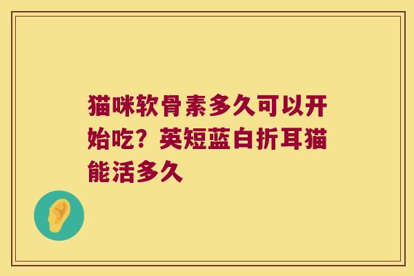 猫咪软骨素多久可以开始吃?英短蓝白折耳猫能活多久 猫咪软骨素多久可以开始吃?英短蓝白折耳猫能活多久