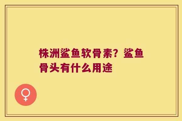 株洲鲨鱼软骨素?鲨鱼骨头有什么用途 株洲鲨鱼软骨素?鲨鱼骨头有什么用途
