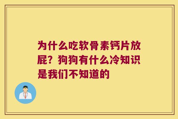 为什么吃软骨素钙片放屁？狗狗有什么冷知识是我们不知道的