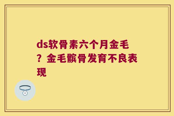 ds软骨素六个月金毛?金毛髌骨发育不良表现 ds软骨素六个月金毛?金毛髌骨发育不良表现