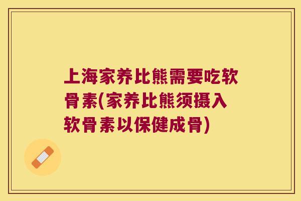 上海家养比熊需要吃软骨素(家养比熊须摄入软骨素以保健成骨)