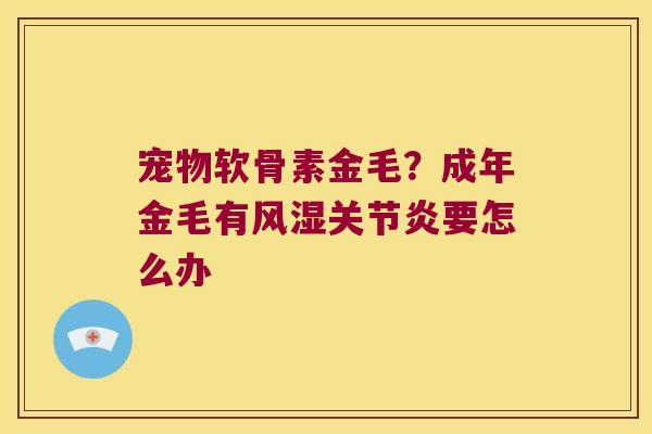 宠物软骨素金毛？成年金毛有要怎么办