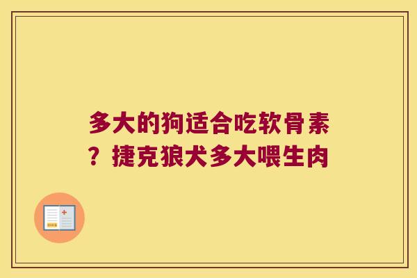 多大的狗适合吃软骨素？捷克狼犬多大喂生肉