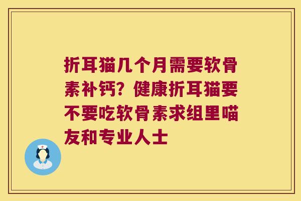 折耳猫几个月需要软骨素补钙？健康折耳猫要不要吃软骨素求组里喵友和专业人士