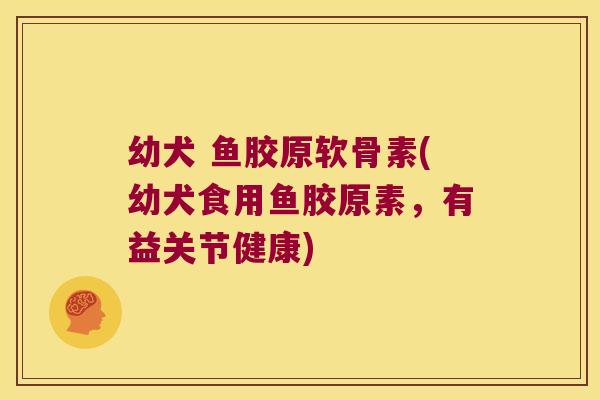 幼犬 鱼胶原软骨素(幼犬食用鱼胶原素,有益关节健康) 幼犬 鱼胶原软骨素(幼犬食用鱼胶原素,有益关节健康)
