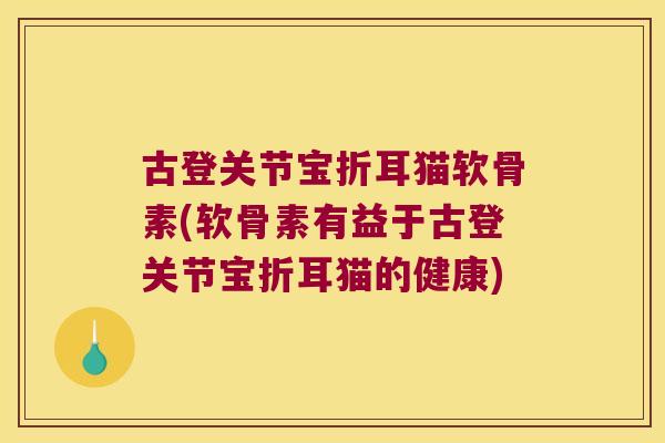 古登关节宝折耳猫软骨素(软骨素有益于古登关节宝折耳猫的健康) 古登关节宝折耳猫软骨素(软骨素有益于古登关节宝折耳猫的健康)