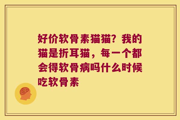 好价软骨素猫猫？我的猫是折耳猫，每一个都会得软骨吗什么时候吃软骨素
