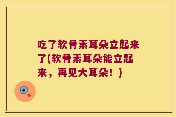 吃了软骨素耳朵立起来了(软骨素耳朵能立起来,再见大耳朵!) 吃了软骨素耳朵立起来了(软骨素耳朵能立起来,再见大耳朵!)