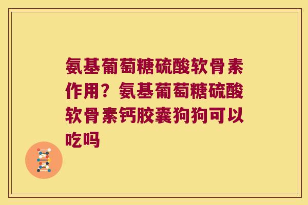 氨基葡萄糖硫酸软骨素作用?氨基葡萄糖硫酸软骨素钙胶囊狗狗可以吃吗 氨基葡萄糖硫酸软骨素作用?氨基葡萄糖硫酸软骨素钙胶囊狗狗可以吃吗