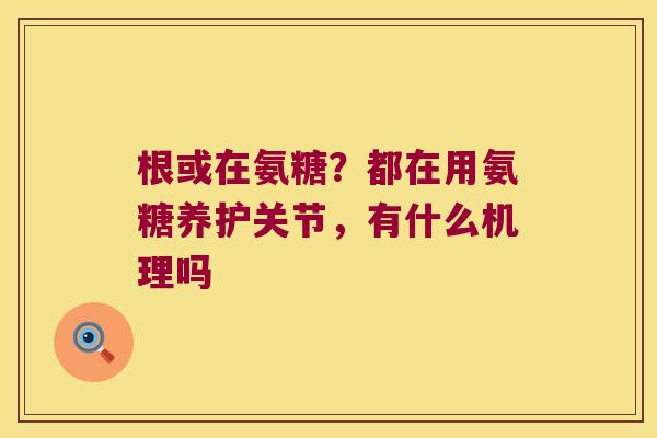 根或在氨糖?都在用氨糖养护关节,有什么机理吗 根或在氨糖?都在用氨糖养护关节,有什么机理吗
