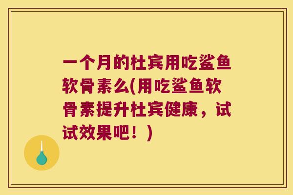一个月的杜宾用吃鲨鱼软骨素么(用吃鲨鱼软骨素提升杜宾健康,试试效果吧!) 一个月的杜宾用吃鲨鱼软骨素么(用吃鲨鱼软骨素提升杜宾健康,试试效果吧!)