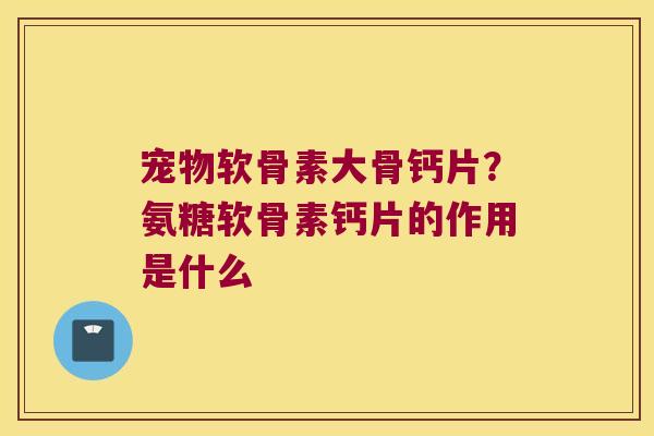 宠物软骨素大骨钙片?氨糖软骨素钙片的作用是什么 宠物软骨素大骨钙片?氨糖软骨素钙片的作用是什么