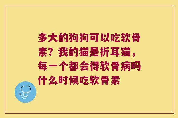 多大的狗狗可以吃软骨素？我的猫是折耳猫，每一个都会得软骨吗什么时候吃软骨素