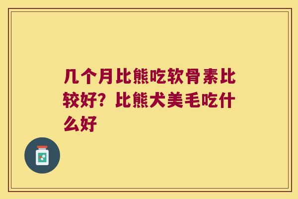 几个月比熊吃软骨素比较好?比熊犬美毛吃什么好 几个月比熊吃软骨素比较好?比熊犬美毛吃什么好