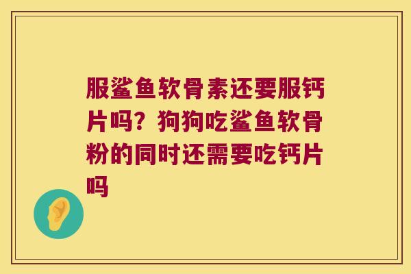 服鲨鱼软骨素还要服钙片吗？狗狗吃鲨鱼软骨粉的同时还需要吃钙片吗