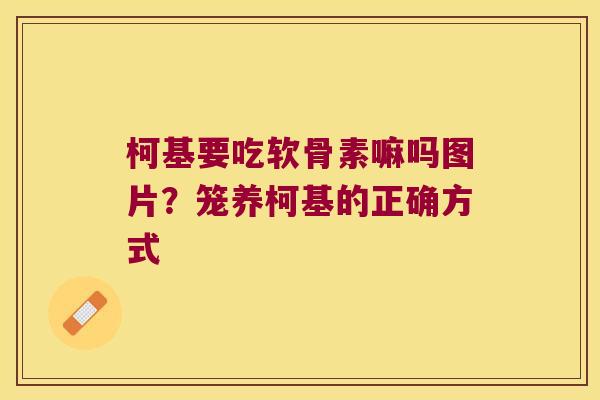 柯基要吃软骨素嘛吗图片?笼养柯基的正确方式 柯基要吃软骨素嘛吗图片?笼养柯基的正确方式