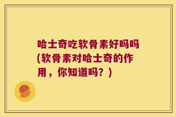 哈士奇吃软骨素好吗吗(软骨素对哈士奇的作用，你知道吗？)