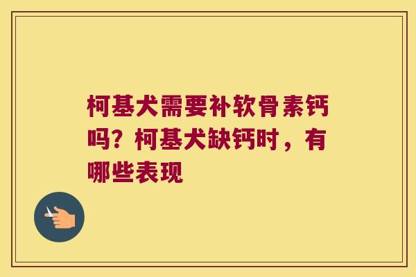 柯基犬需要补软骨素钙吗?柯基犬缺钙时,有哪些表现 柯基犬需要补软骨素钙吗?柯基犬缺钙时,有哪些表现