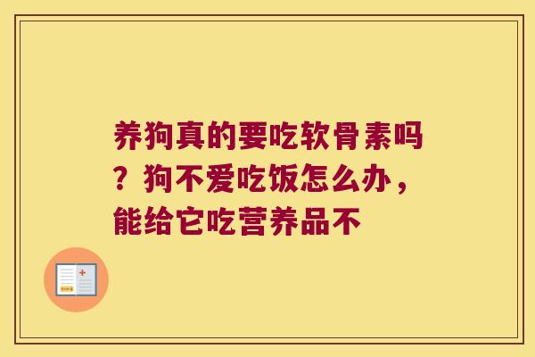 养狗真的要吃软骨素吗?狗不爱吃饭怎么办,能给它吃营养品不 养狗真的要吃软骨素吗?狗不爱吃饭怎么办,能给它吃营养品不