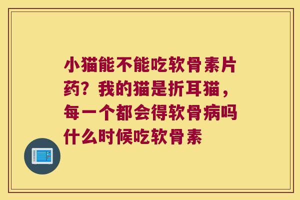 小猫能不能吃软骨素片药?我的猫是折耳猫,每一个都会得软骨吗什么时候吃软骨素 小猫能不能吃软骨素片药?我的猫是折耳猫,每一个都会得软骨吗什么时候吃软骨素