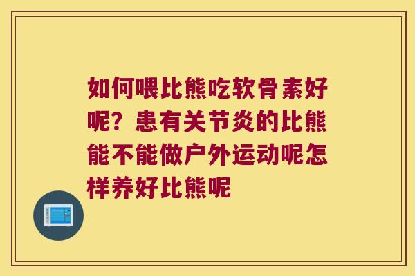 如何喂比熊吃软骨素好呢?患有的比熊能不能做户外运动呢怎样养好比熊呢 如何喂比熊吃软骨素好呢?患有的比熊能不能做户外运动呢怎样养好比熊呢