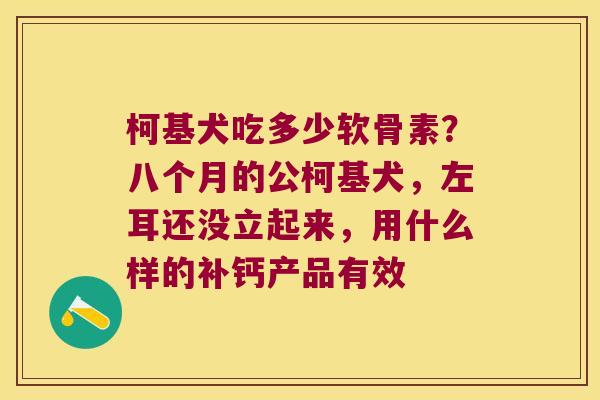 柯基犬吃多少软骨素?八个月的公柯基犬,左耳还没立起来,用什么样的补钙产品有效 柯基犬吃多少软骨素?八个月的公柯基犬,左耳还没立起来,用什么样的补钙产品有效