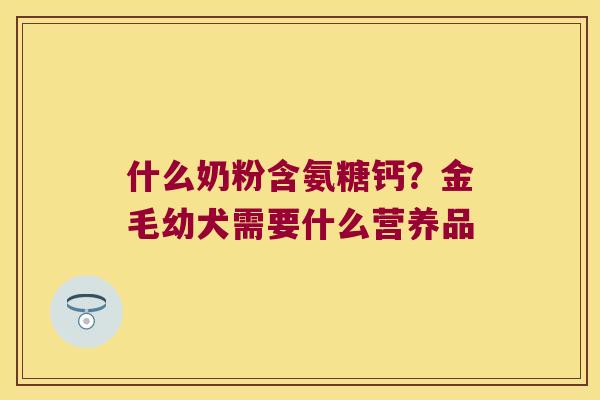 什么奶粉含氨糖钙？金毛幼犬需要什么营养品