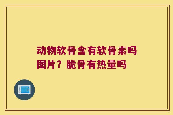 动物软骨含有软骨素吗图片？脆骨有热量吗