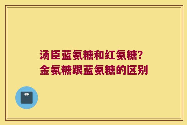 汤臣蓝氨糖和红氨糖？金氨糖跟蓝氨糖的区别
