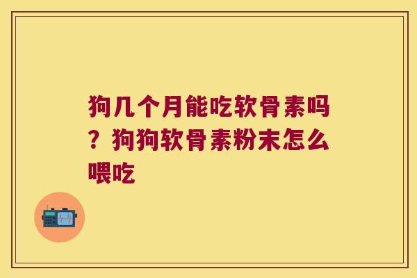 狗几个月能吃软骨素吗?狗狗软骨素粉末怎么喂吃 狗几个月能吃软骨素吗?狗狗软骨素粉末怎么喂吃