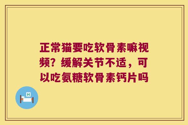 正常猫要吃软骨素嘛视频?缓解关节不适,可以吃氨糖软骨素钙片吗 正常猫要吃软骨素嘛视频?缓解关节不适,可以吃氨糖软骨素钙片吗