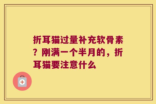折耳猫过量补充软骨素?刚满一个半月的,折耳猫要注意什么 折耳猫过量补充软骨素?刚满一个半月的,折耳猫要注意什么