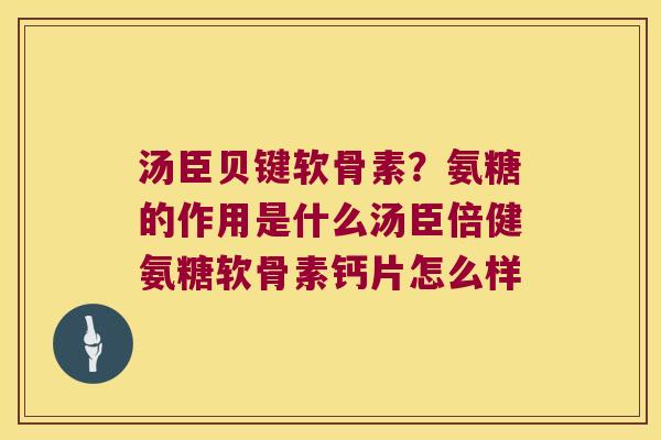 汤臣贝键软骨素?氨糖的作用是什么汤臣倍健氨糖软骨素钙片怎么样 汤臣贝键软骨素?氨糖的作用是什么汤臣倍健氨糖软骨素钙片怎么样