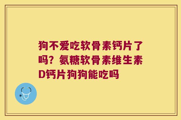 狗不爱吃软骨素钙片了吗?氨糖软骨素维生素D钙片狗狗能吃吗 狗不爱吃软骨素钙片了吗?氨糖软骨素维生素D钙片狗狗能吃吗