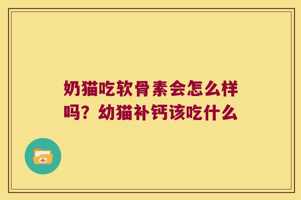 奶猫吃软骨素会怎么样吗？幼猫补钙该吃什么