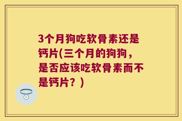 3个月狗吃软骨素还是钙片(三个月的狗狗，是否应该吃软骨素而不是钙片？)
