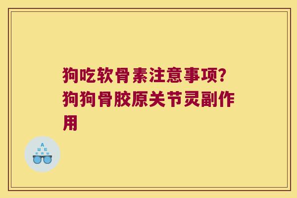 狗吃软骨素注意事项?狗狗骨胶原关节灵副作用 狗吃软骨素注意事项?狗狗骨胶原关节灵副作用
