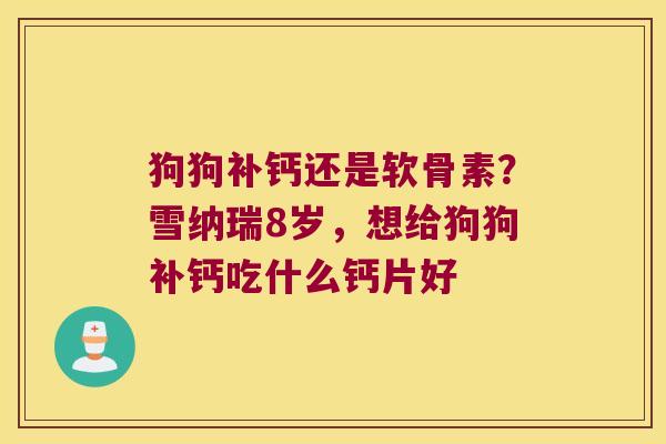 狗狗补钙还是软骨素?雪纳瑞8岁,想给狗狗补钙吃什么钙片好 狗狗补钙还是软骨素?雪纳瑞8岁,想给狗狗补钙吃什么钙片好