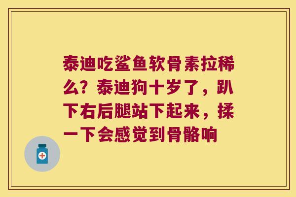 泰迪吃鲨鱼软骨素拉稀么？泰迪狗十岁了，趴下右后腿站下起来，揉一下会感觉到骨骼响
