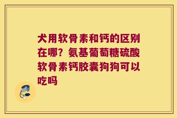犬用软骨素和钙的区别在哪?氨基葡萄糖硫酸软骨素钙胶囊狗狗可以吃吗 犬用软骨素和钙的区别在哪?氨基葡萄糖硫酸软骨素钙胶囊狗狗可以吃吗