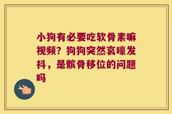 小狗有必要吃软骨素嘛视频？狗狗突然哀嚎发抖，是髌骨移位的问题吗