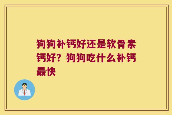狗狗补钙好还是软骨素钙好?狗狗吃什么补钙快 狗狗补钙好还是软骨素钙好?狗狗吃什么补钙快