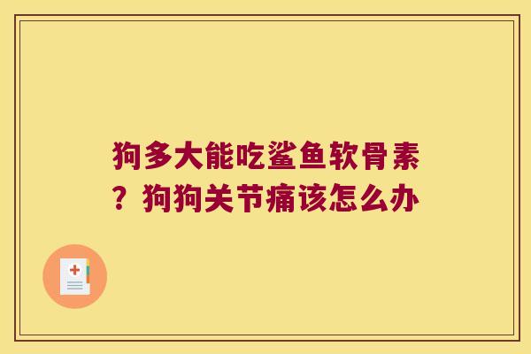 狗多大能吃鲨鱼软骨素？狗狗关节痛该怎么办