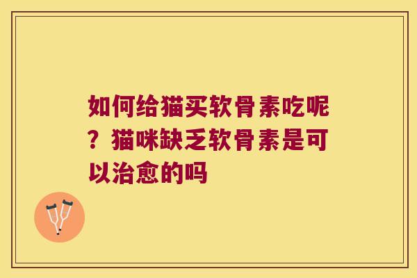 如何给猫买软骨素吃呢？猫咪缺乏软骨素是可以愈的吗