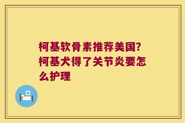 柯基软骨素推荐美国？柯基犬得了要怎么护理